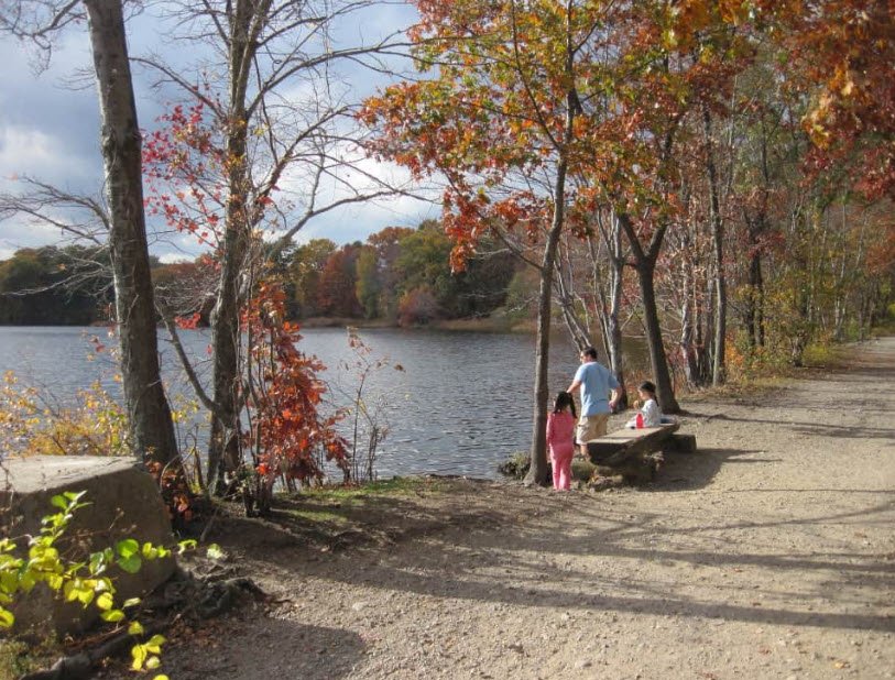 Cutler Park Reservation, Massachusetts, USA